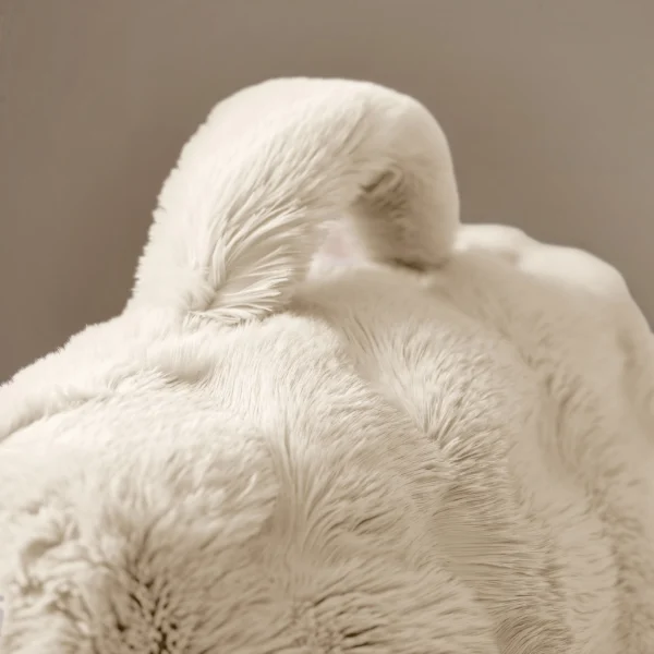 Rugsteun Kussen Bedrest Pompom Beige 34 x 50