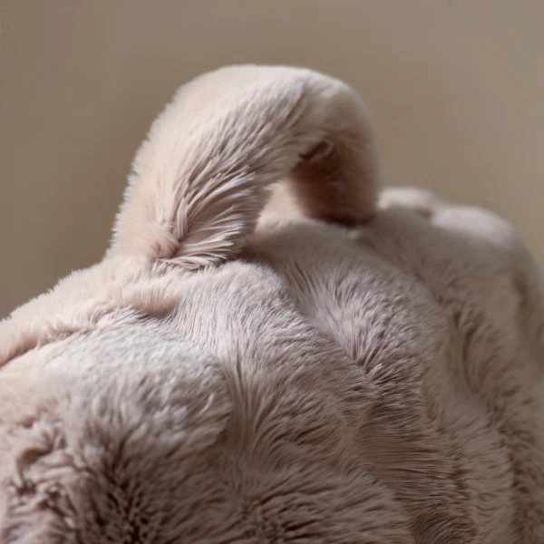 Rugsteun Kussen Bedrest Pompom Taupe 34 x 50