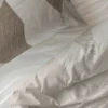 Echo Beige 5